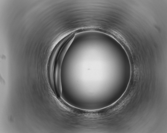 X0000091090789200708061636