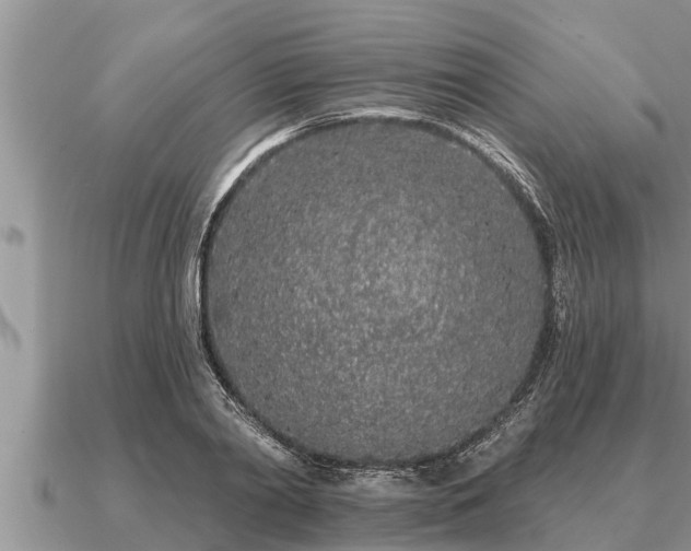 X0000091090790200708061636