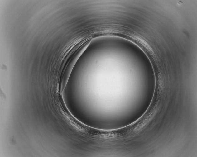 X0000091090793200708061636