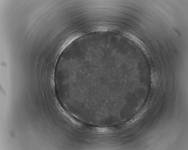 X0000091090794200708061636
