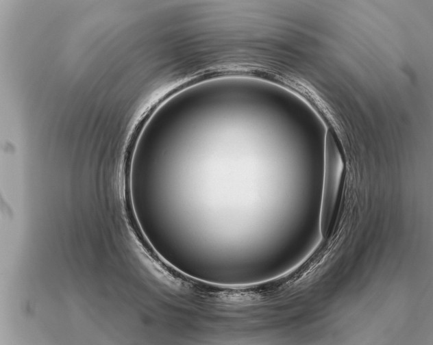 X0000091090795200708061636