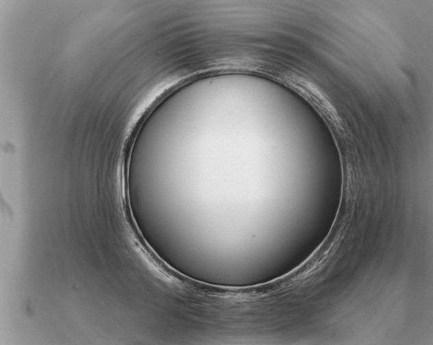 X0000091090796200708061636