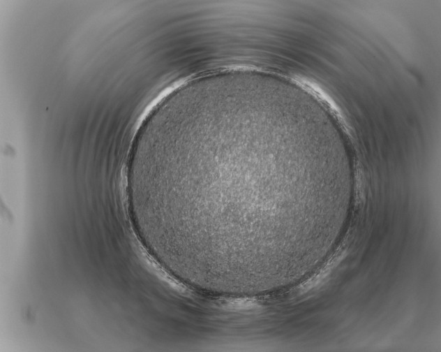 X0000091090798200708061636