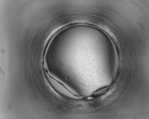 X0000091090799200708061636
