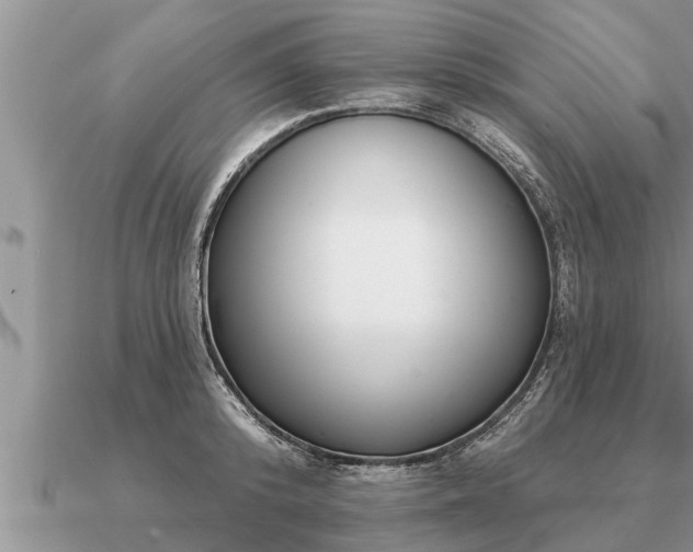 X0000091090800200708061636