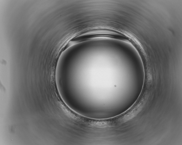 X0000091090801200708061636