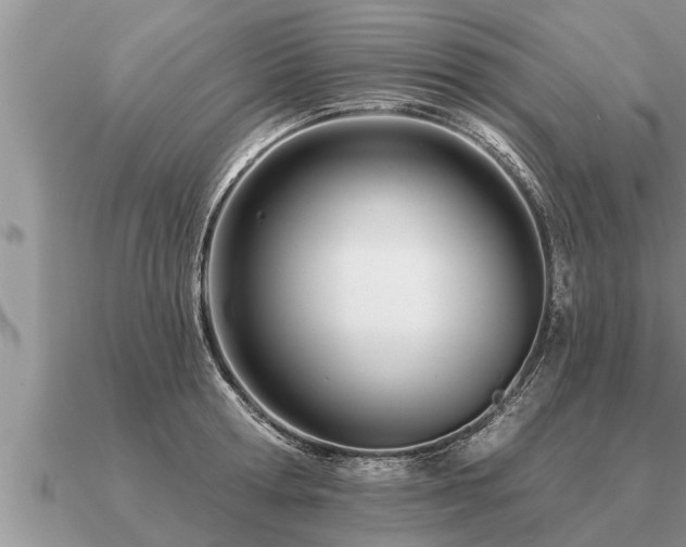 X0000091090802200708061636