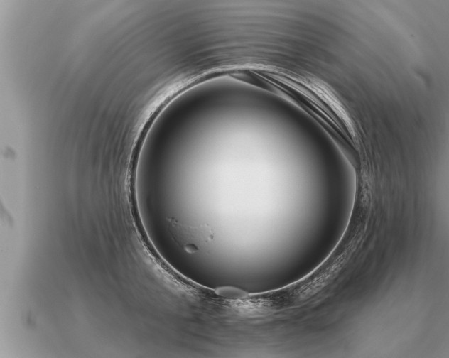 X0000091090805200708061636