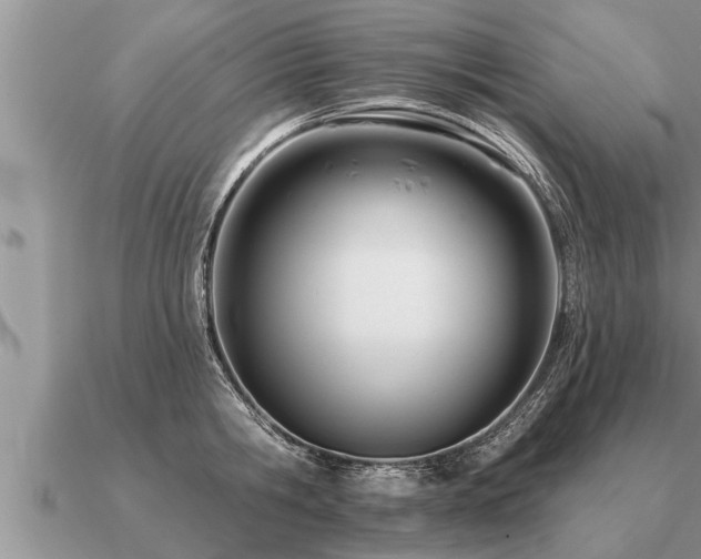 X0000091090806200708061636