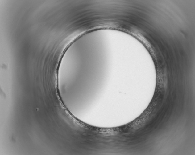 X0000091090807200708061635