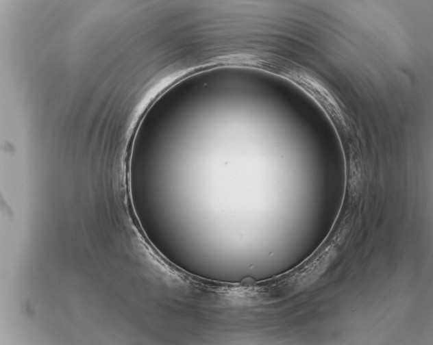X0000091090808200708061635