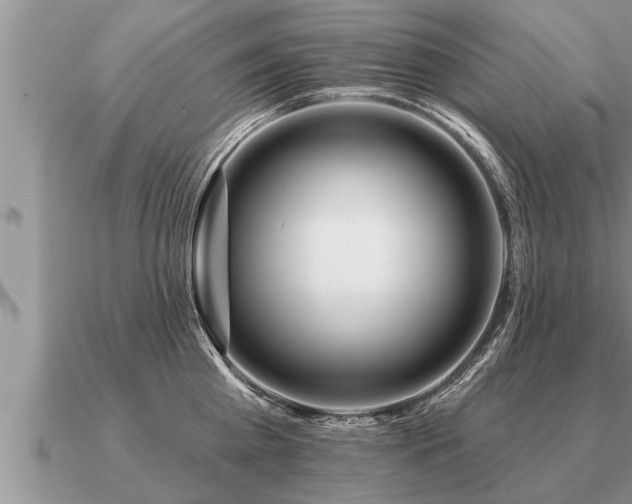 X0000091090809200708061635