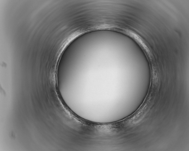 X0000091090810200708061635