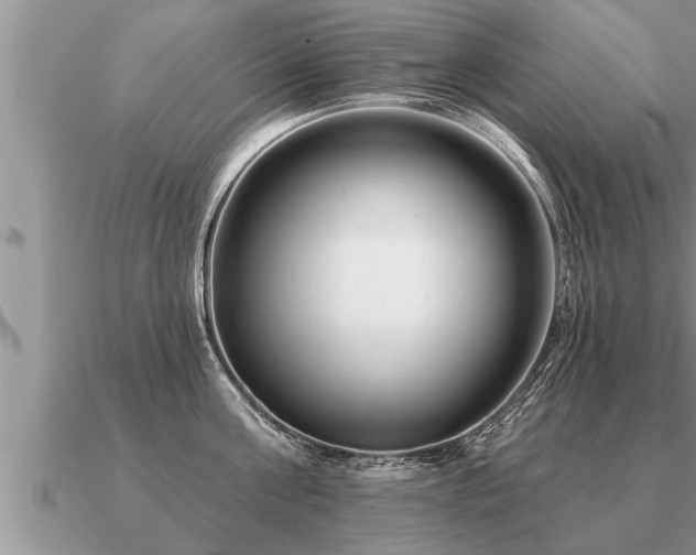 X0000091090811200708061635