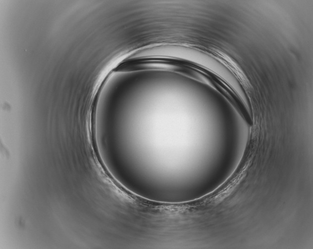 X0000091090812200708061635