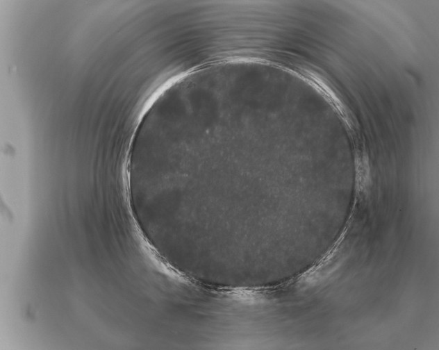 X0000091090814200708061635