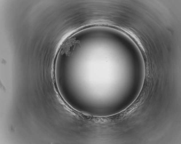 X0000091090815200708061635