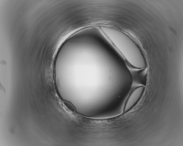 X0000091090816200708061635