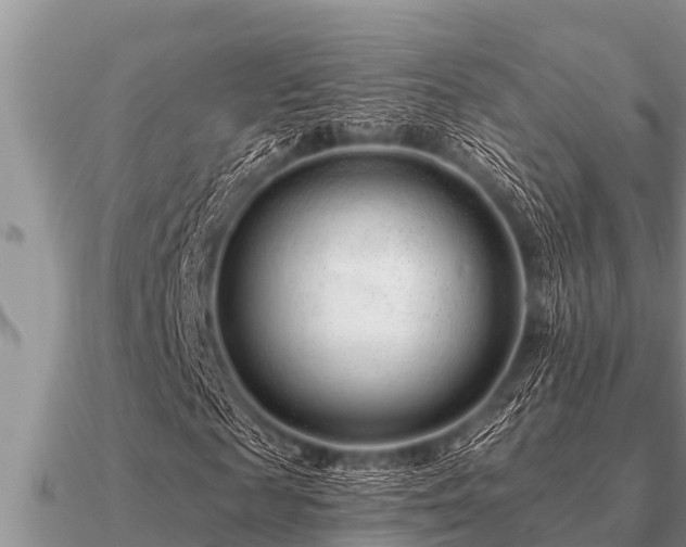 X0000091090817200708061635