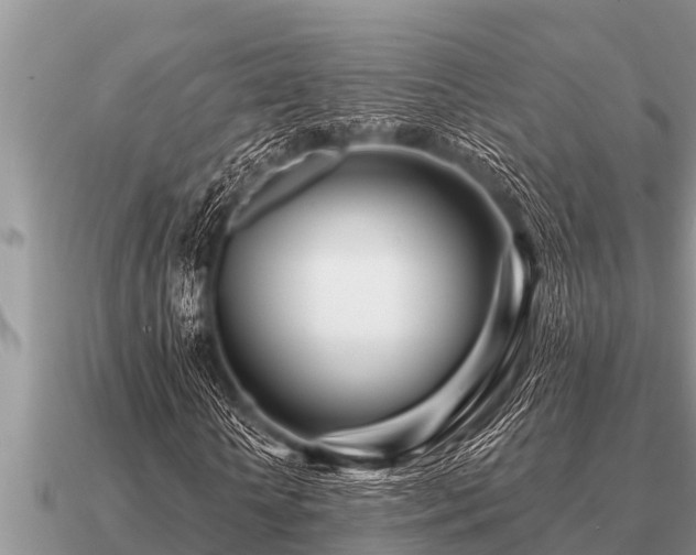X0000091090818200708061635