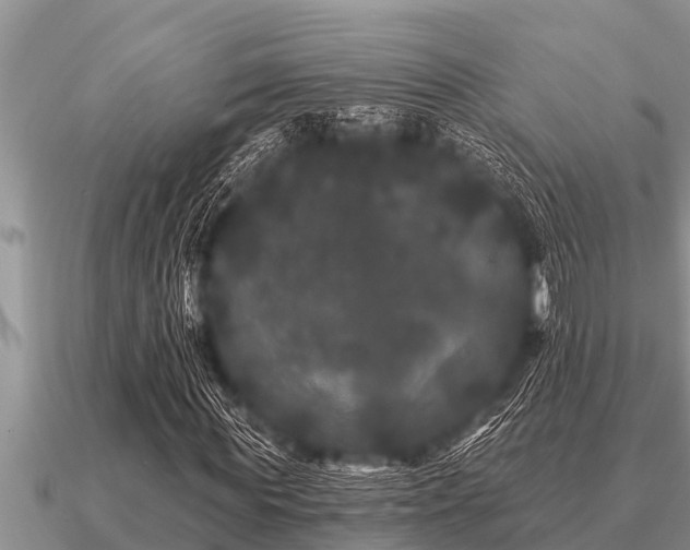 X0000091090819200708061635