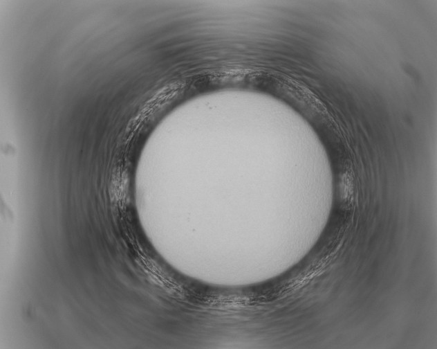 X0000091090820200708061635