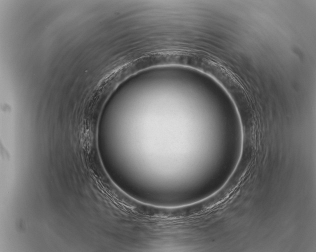 X0000091090821200708061635