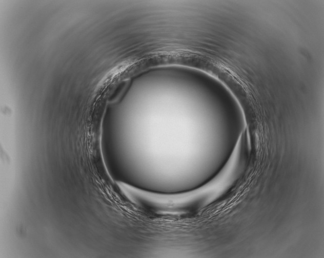 X0000091090822200708061635
