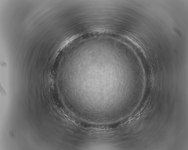 X0000091090823200708061635