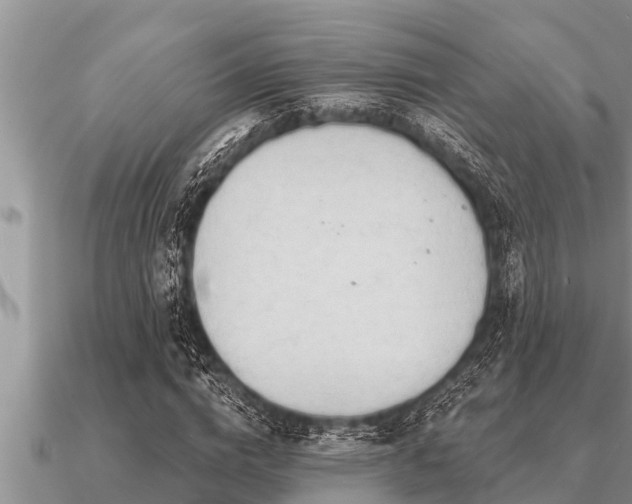 X0000091090824200708061635