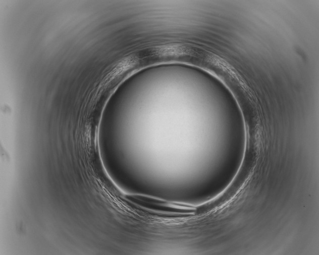 X0000091090825200708061635