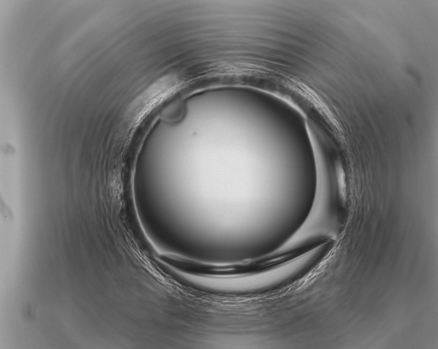 X0000091090826200708061635