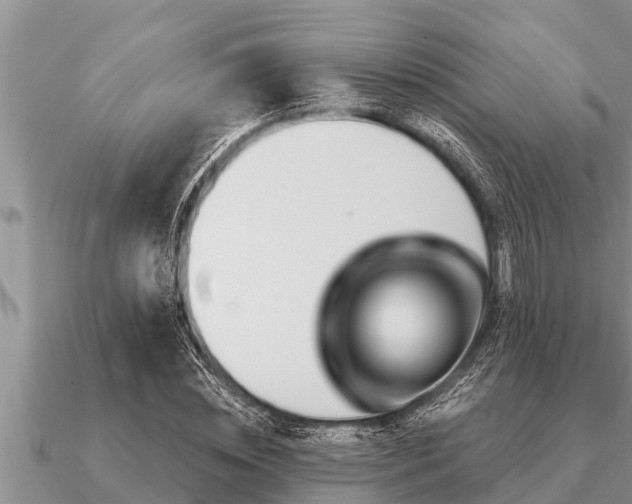 X0000091090828200708061635