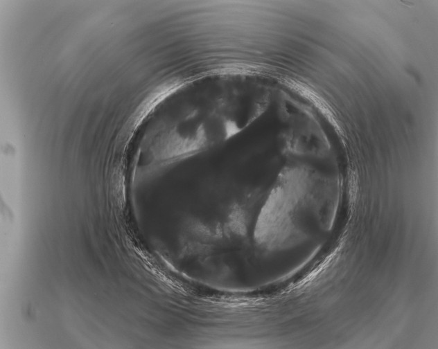 X0000091090829200708061635