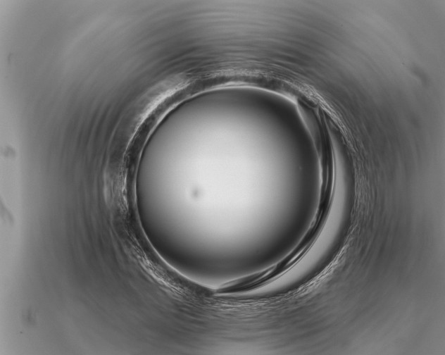 X0000091090830200708061635