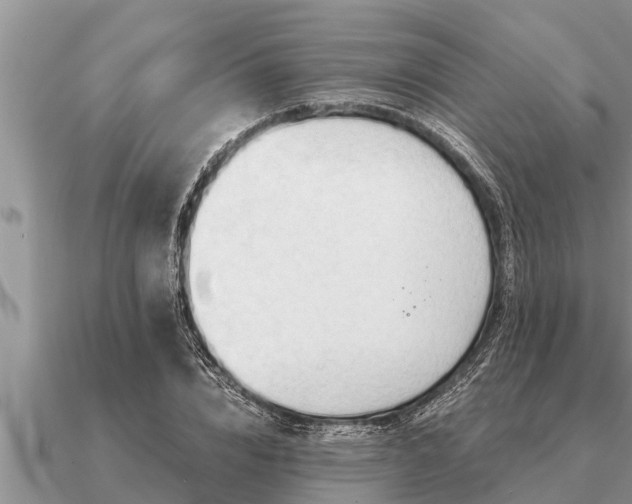 X0000091090832200708061635