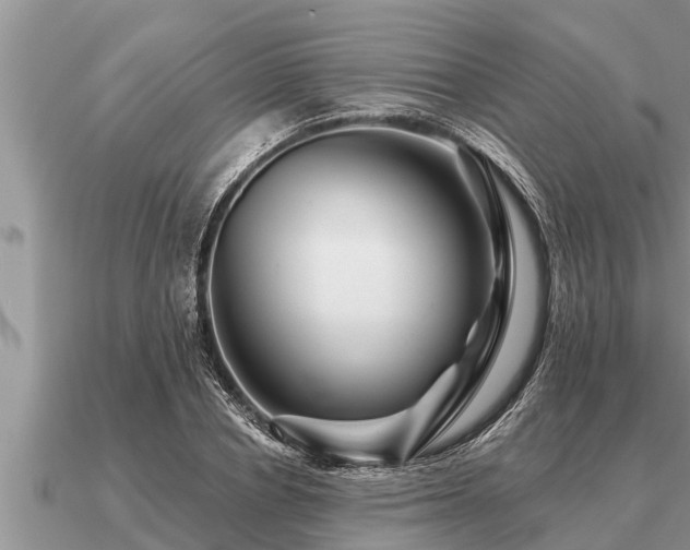X0000091090834200708061635
