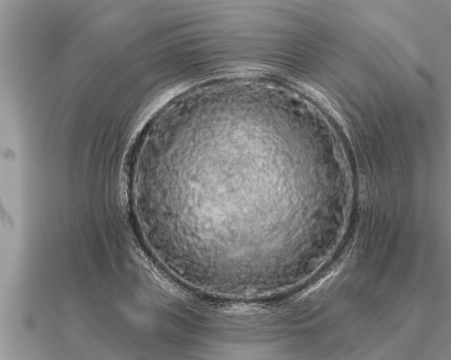 X0000091090835200708061635