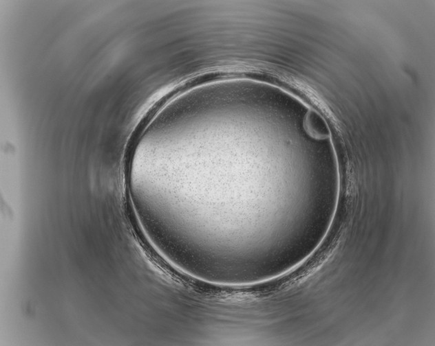 X0000091090837200708061635