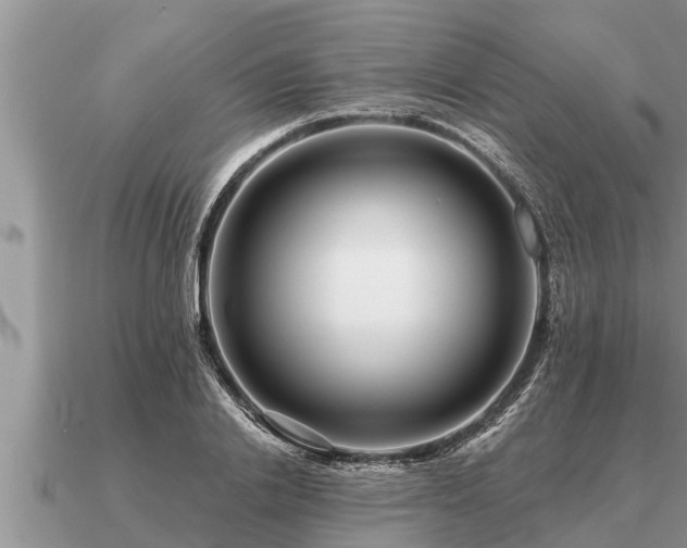 X0000091090838200708061635