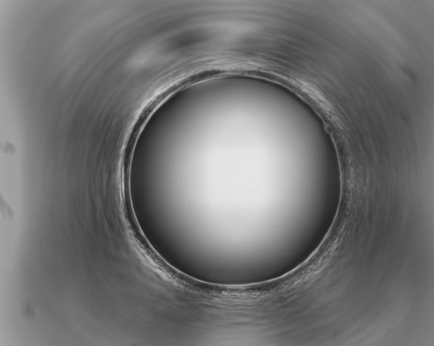 X0000091090840200708061635
