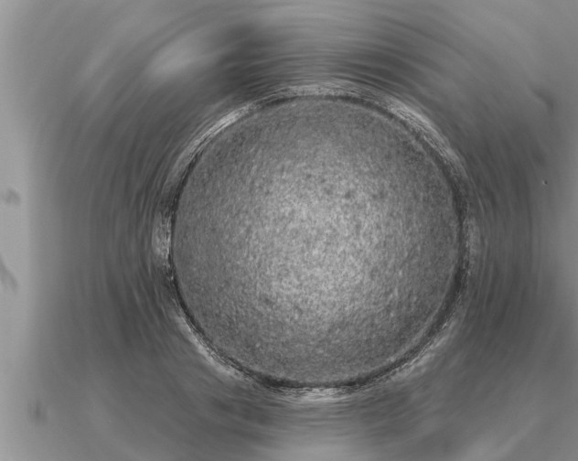 X0000091090841200708061635