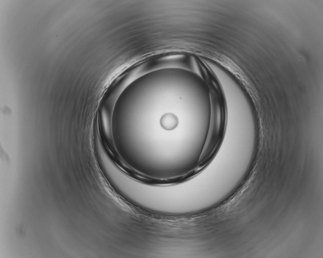 X0000091090842200708061635