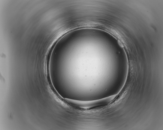 X0000091090843200708061635