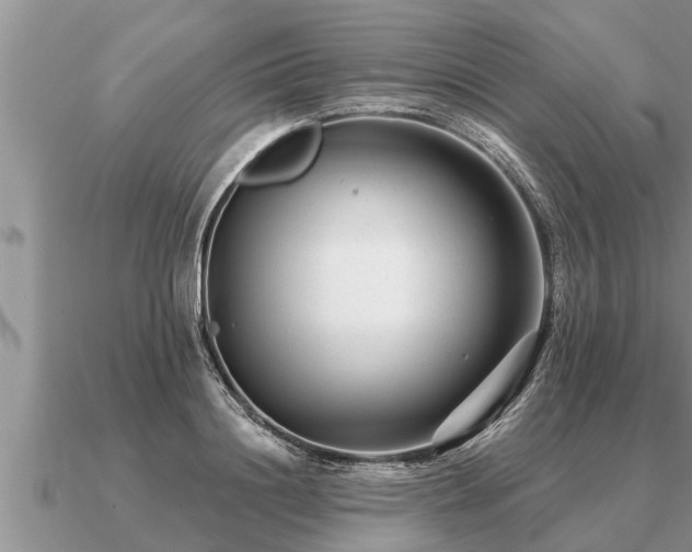 X0000091090844200708061635