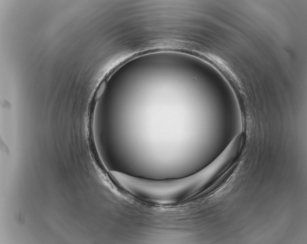 X0000091090846200708061635
