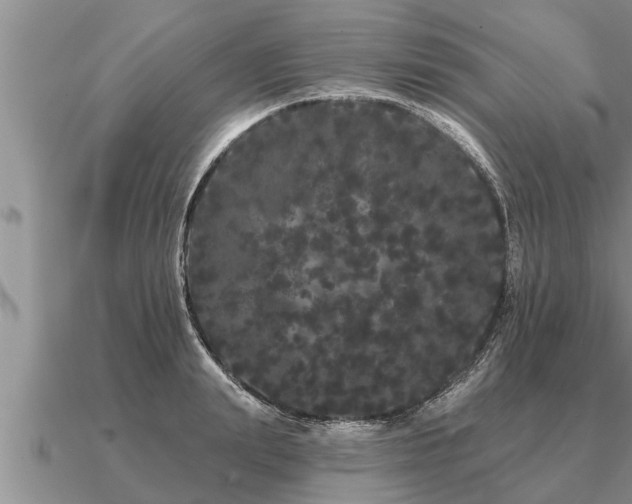 X0000091090847200708061635