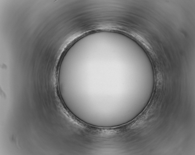 X0000091090848200708061635