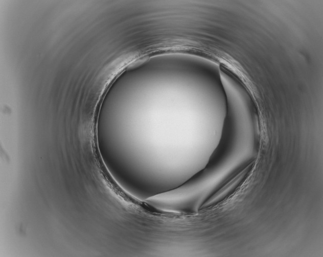 X0000091090850200708061635
