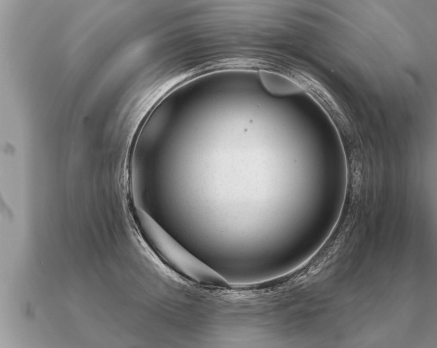 X0000091090852200708061635